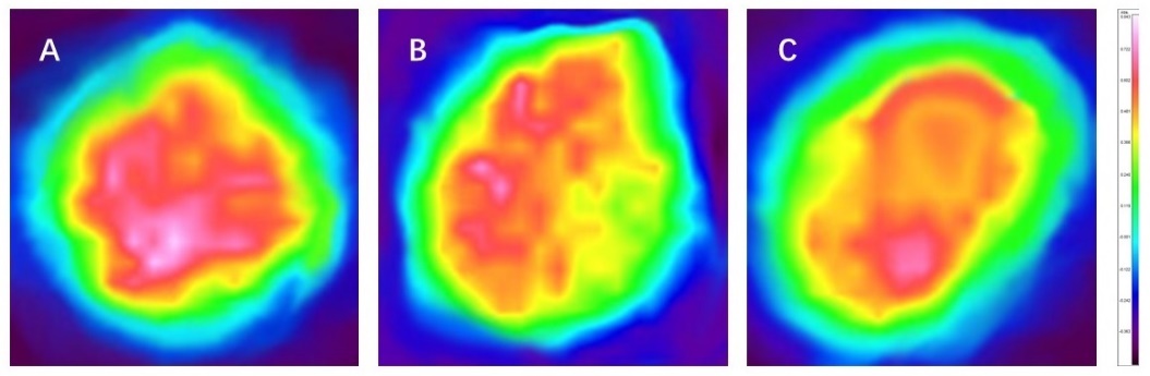 體外真發,頭發熱損傷,模型研究,CIRS,功效評價,技術實踐